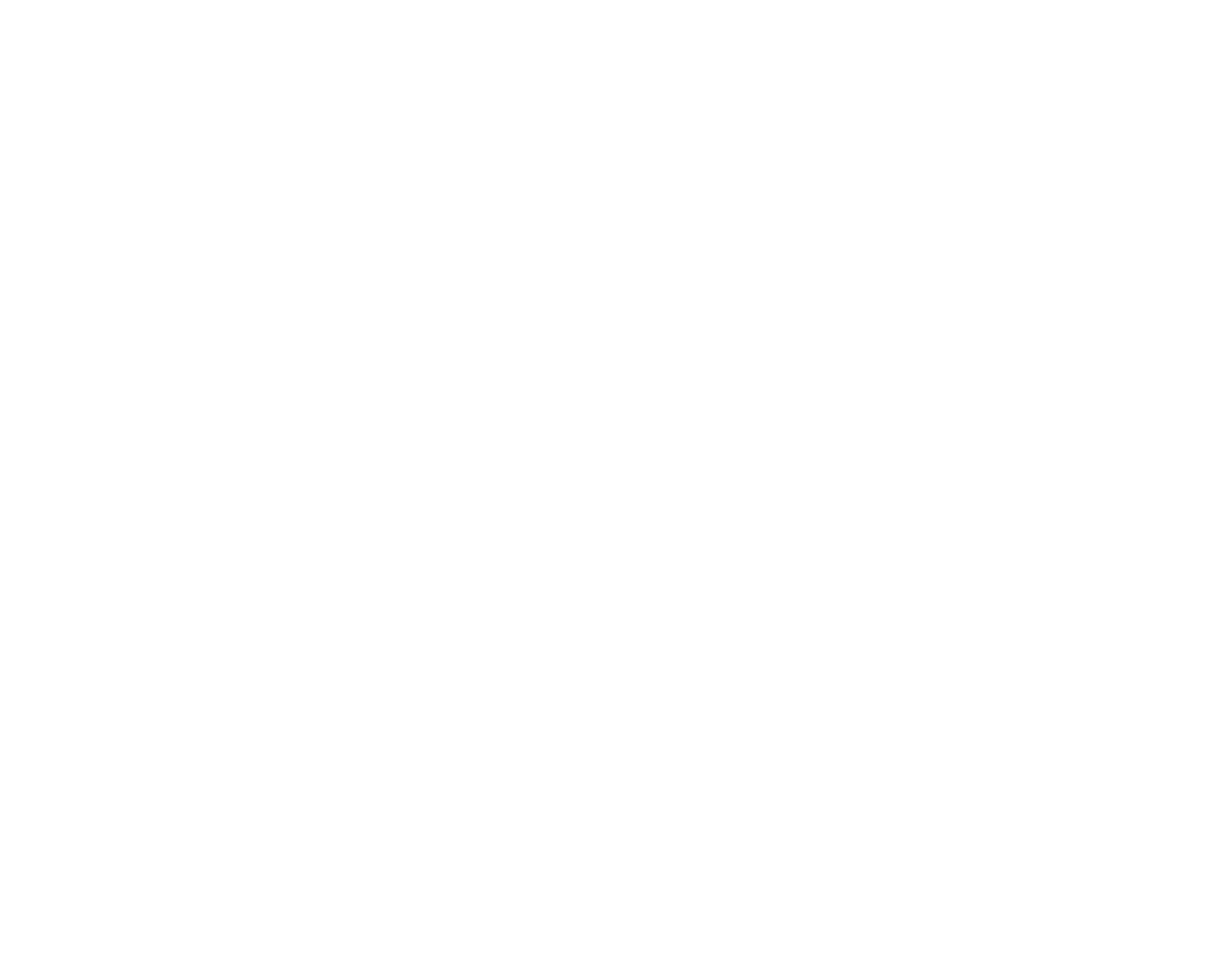 SRLogoWhite